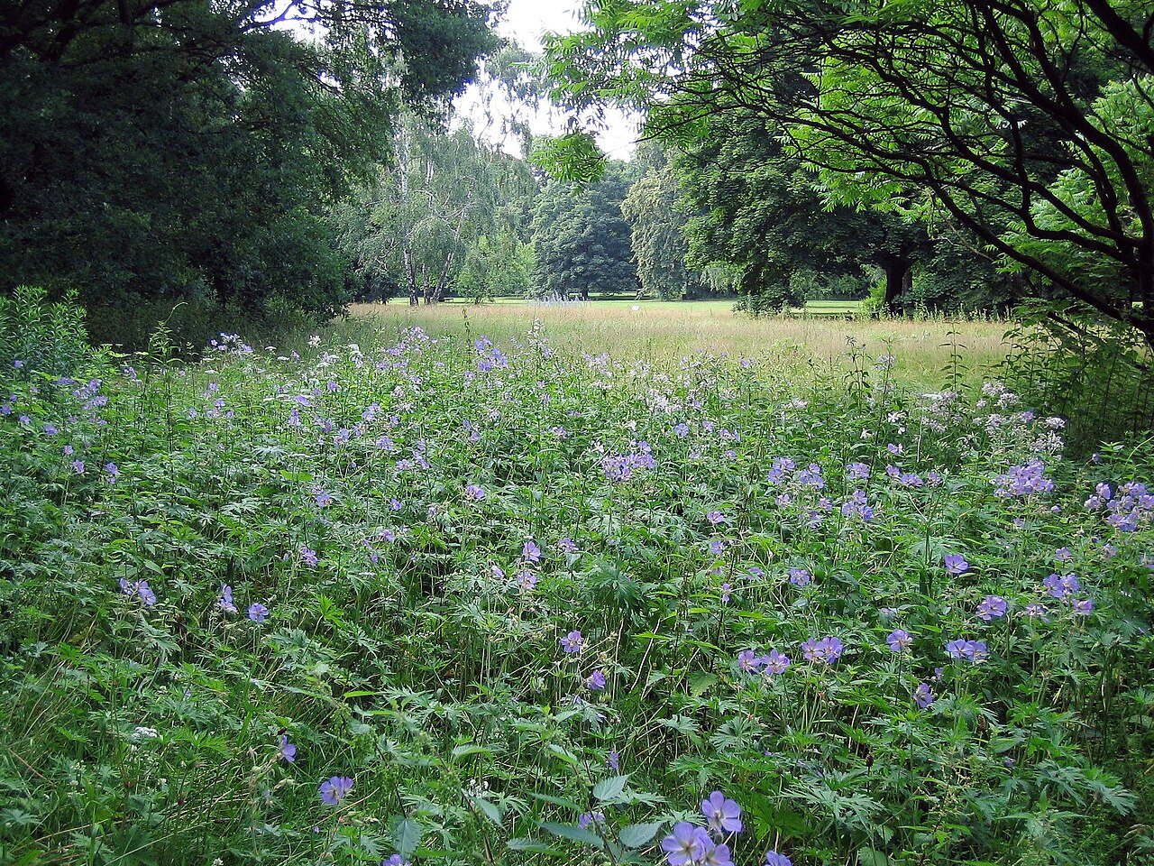 Tiergarten