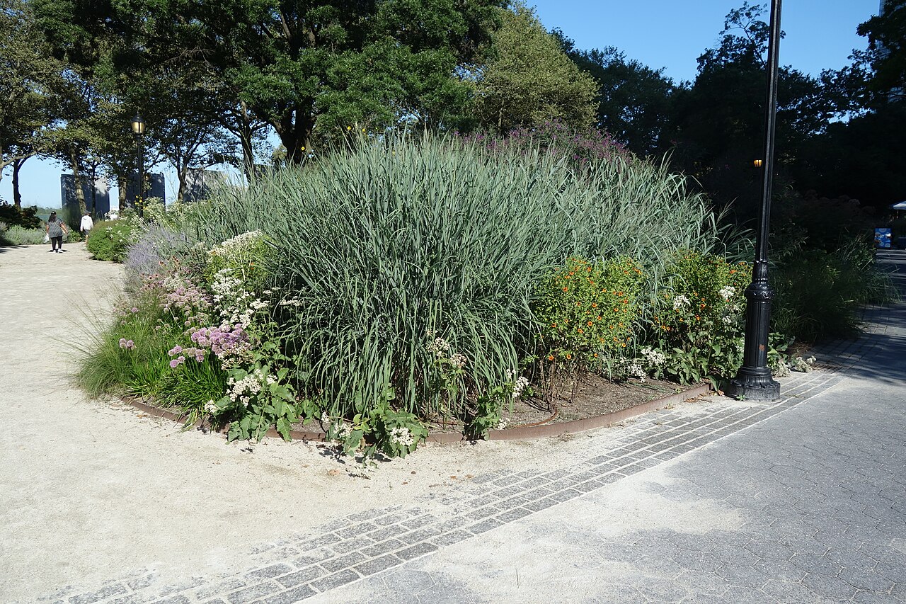 The Battery