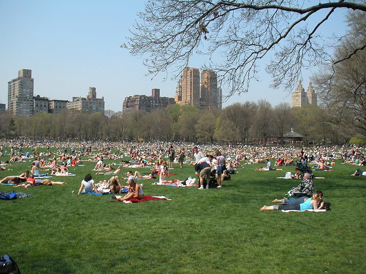 Sheep Meadow